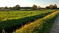 Landschaft an der Neersdommer Mühle