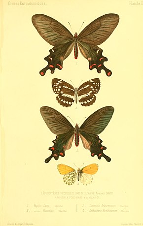 Descripción de la imagen de Oberthur 1876EtudEntPlate3.jpg.