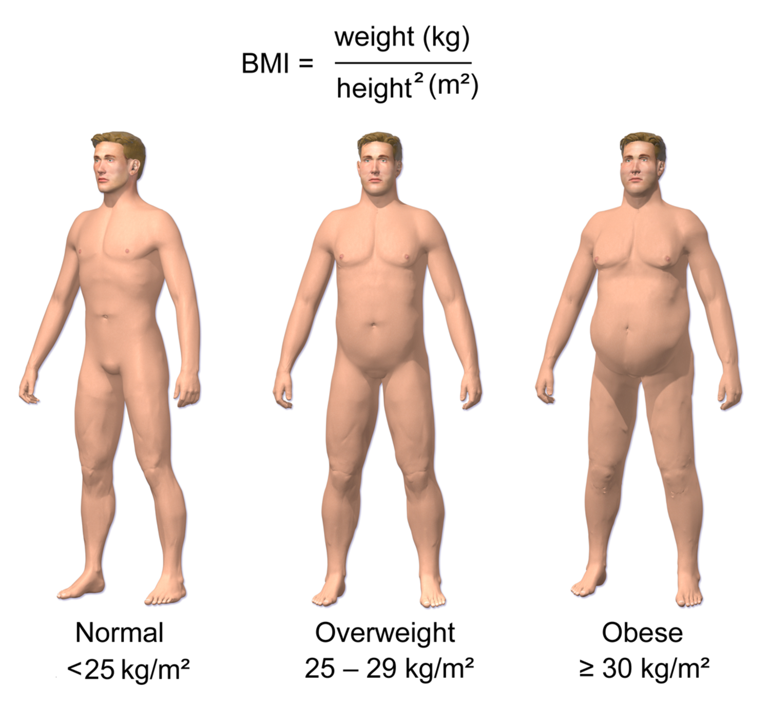 6 Types of Body Fat - Vejthani Hospital