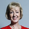 Official portrait of Andrea Leadsom crop 3.jpg