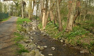 Der Ohbach bei Selhof