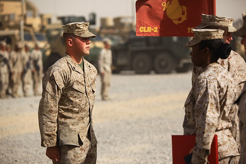 File:Ohio Marine recognized for valor in Afghanistan 130723-M-ZB219-022.jpg
