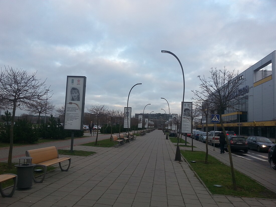 File:Olympic Glory Alley (Vilnius).jpg