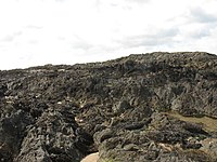 The barren surface of the island in 2008 On the dark-coloured Precambrian outcrops of Ynys Feirig - geograph.org.uk - 786979.jpg