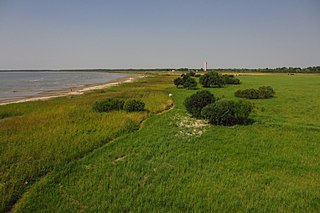 <span class="mw-page-title-main">Pärnu Grasslands Nature Reserve</span> Protected area in Estonia