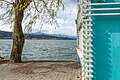 * Nomination Willow at the beach bar «My Lake's» on Johannes-Brahms-Promenade, Pörtschach, Carinthia, Austria -- Johann Jaritz 01:56, 5 April 2024 (UTC) * Promotion  Support Good quality. --Rjcastillo 03:08, 5 April 2024 (UTC)