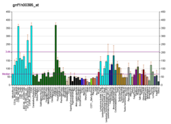 PBB GE EXOC4 gnf1h00385, fs.png'de