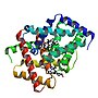 Vignette pour Cytoglobine