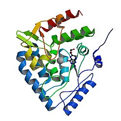 PBB протеині TPH1 image.jpg