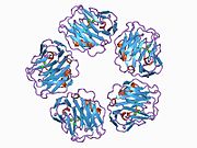 1b09​: Ljudski C-reaktivni protein u kompleksu sa fosfoholinom