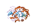 Thumbnail for File:PDB 2dpe EBI.png