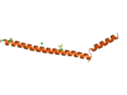 2q2f: Structure of the human Selenoprotein S (VCP-interacting membrane protein)