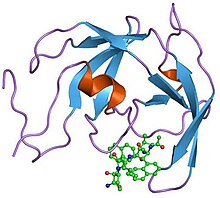 PDB 4fiv EBI.jpg