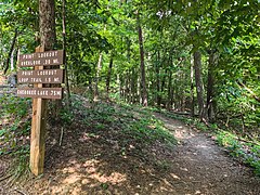 Panther Creek State Park trail.jpg