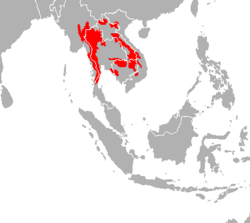 Areál rozšíření indočínského tygra (červeně)