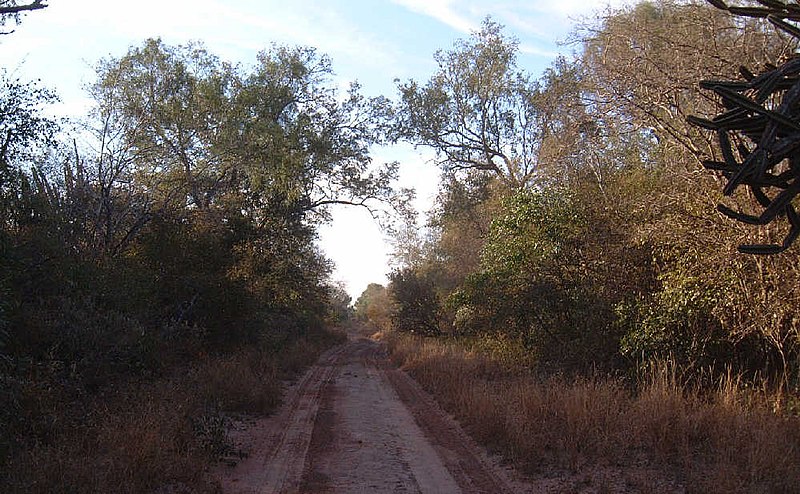 File:ParaguayChaco Palmar de las Islas.jpg