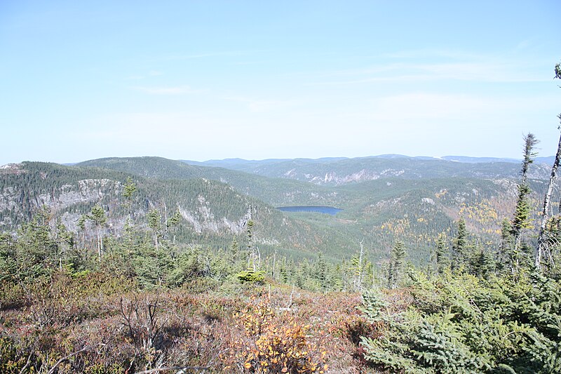 File:Parc des grands jardins le sommets du lac des cygnes.jpg