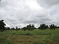 Parque Nacional Aguaro-Guariquito