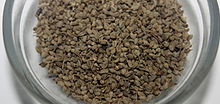 Parsley seeds Parsley seeds(raadhuni).JPG