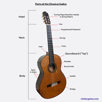 Parts of the Classical Guitar - Diagram.jpg