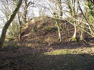 <span class="mw-page-title-main">Pentrecwrt</span> Village in Carmarthenshire, Wales