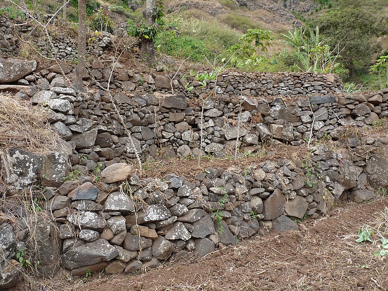 File:Pico da Antonia-Manioc en terrasses.jpg