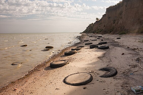 Pollution of the Azov Sea coast in the area of Petrushina spit, Taganrog