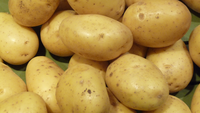 Pommes de terre Monalisa.png