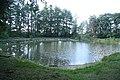 Čeština: Rybník u naučné stezky Bažantnice v Třebíči, okr. Třebíč. English: Pond near Naučná stezka Bažantnice near Bažantnice near Budíkovice, Třebíč District.