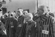 Prisoners at Sachsenhausen, 19 December 1938 Prisoners in the concentration camp at Sachsenhausen, Germany, December 19, 1938. Heinrich Hoffman Collection. - NARA - 540177.jpg