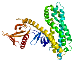 Протеин ARHGEF4 PDB 2dx1.png