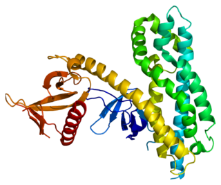 ARHGEF4 Protein-coding gene in the species Homo sapiens