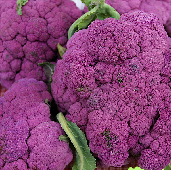 File:PurpleCauliflower.jpg