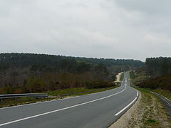 La RD 709 dans la forêt du Landais, sur la commune des Lèches, en Dordogne.