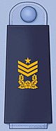 ROKAF insignia Chief Master Sergeant.jpg