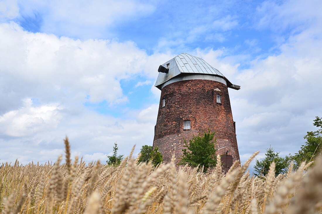 Radzyń-Wybudowanie