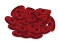 Red Blood Cells png.png