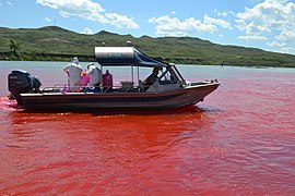 Red in the River (27878569092).jpg