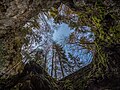 * Nomination Riesenburg Cave in Franconia, Germany. Looking vertically upwards through the collapsed ceiling. --Ermell 05:38, 28 May 2024 (UTC) * Promotion  Support Good quality. --Skander zarrad 06:23, 28 May 2024 (UTC)