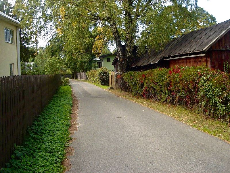 File:RigaAureniekuIela.jpg