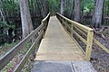 Right boardwalk, Manatee Springs State Park