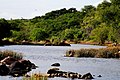 Rio Carnaíba - Bela Vista - Araci - BA.jpg