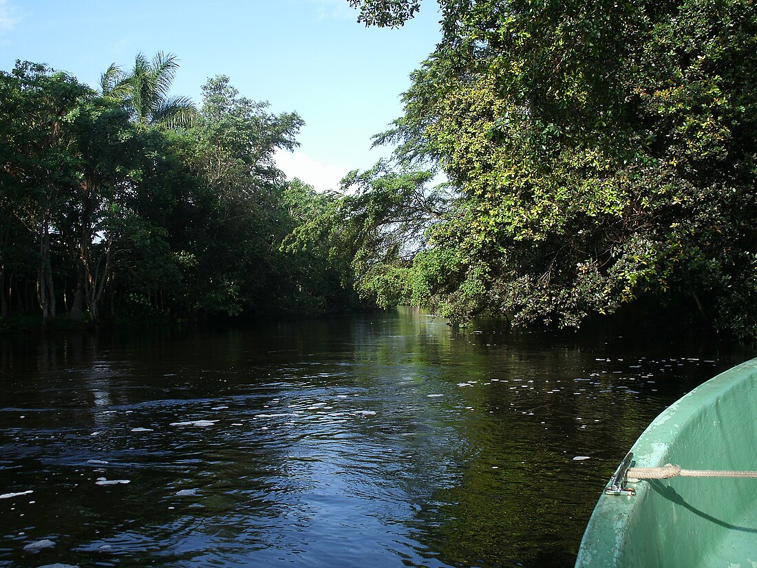 Río Hatiguanico