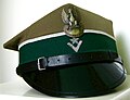 民主化以後は、軍帽の形状もチャプカとなり、帽章の白鷲に王冠が復活した。