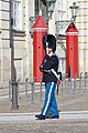 Royal Guard at Amalienborg, Copenhagen, 20220617 0846 6667.jpg