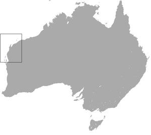 Rufous Hare Wallaby area.png