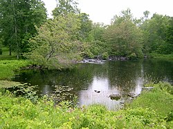 Salmon River Ontario01.JPG