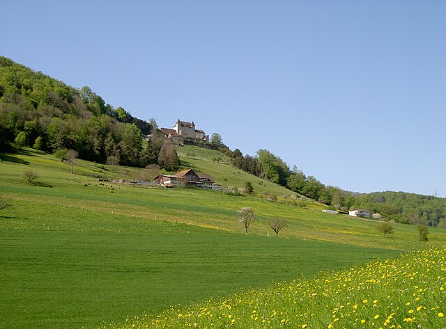 Hillside and Wartenfels Castle near Lostorf