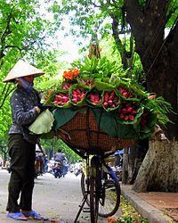 Một người bán sen trên đường phố Hà Nội