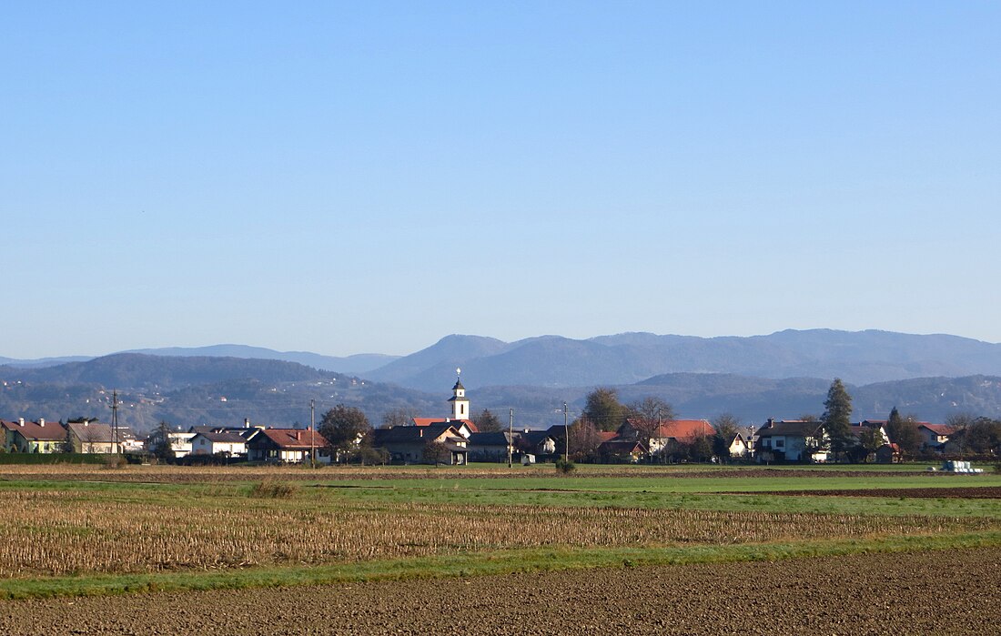 Šentrupert, Braslovče